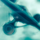 Illustration for article titled Can Abrams Claim Victory Over Whedon?